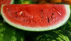 Роспотребнадзор раскрыл, чем опасны арбузы с улицы