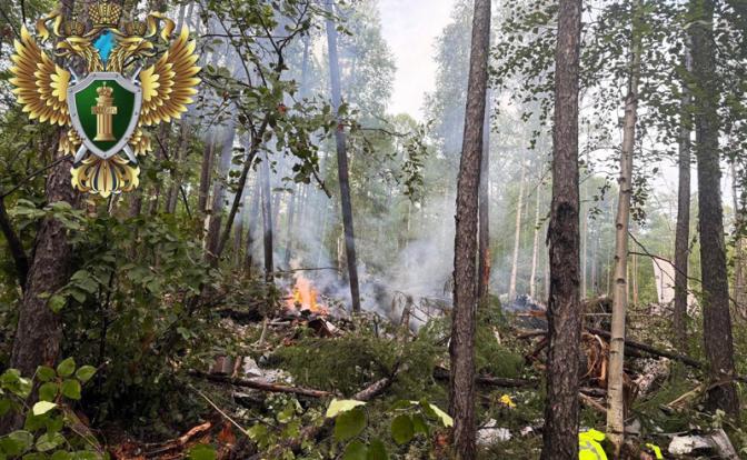 Пятеро сотрудников РЖД погибли в авиакатастрофе с Ан-24 в Амурской области