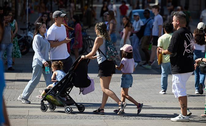 Рождаемость от доходов мало зависит – достаточно посмотреть на кроликов