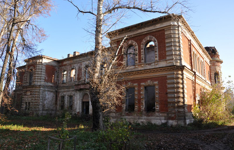 Sunny fox/autotravel