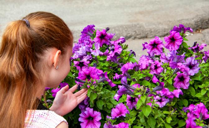 Озвучена опасность обонятельных галлюцинаций