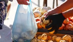 Картошка «распробовала» вкус больших денег и больше не вернется к прежним ценам