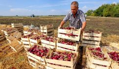 Василий Мельниченко: Отменить налоги, списать долги, вернуть возраст выхода на пенсию – иначе будет голод