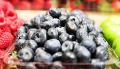 Россиянам озвучили пользу черники