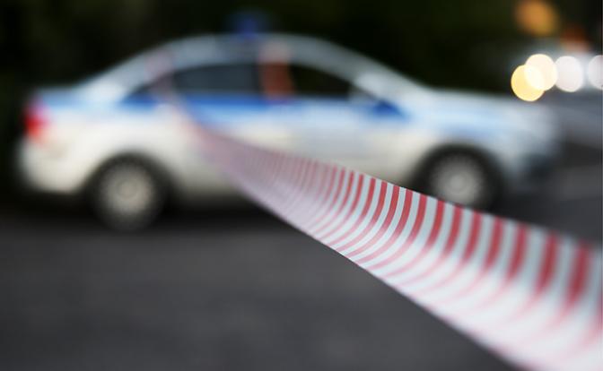 В лесу под Новосибирском найдено тело пропавшей журналистки