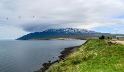 Курильский рубеж: Япония упорно тянет руки к нашим островам, уже забыв, как и Германия, про 1945-й год