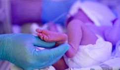  «Детки на экспорт»: Преступный конвейер действовал от Балтики до Тихого океана