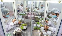 Китай зарабатывает триллионы на лекарствах и превращает свои города в мировые столицы науки