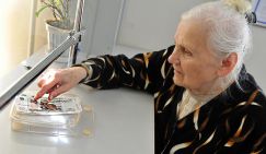 Пенсии: Страховой фонд России мутит воду с баллами, Сергей Миронов - с  индексацией