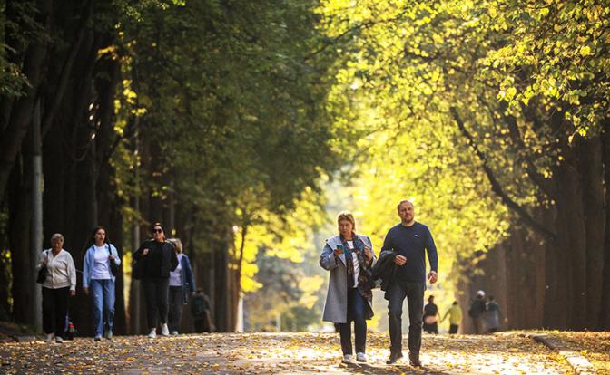 В России установится настоящая осенняя погода