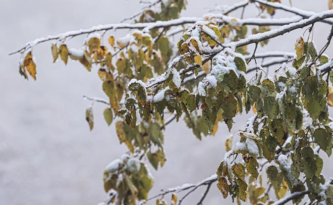 В России выпал первый снег
