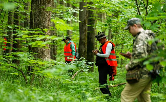 После 10 дней поисков в уральских лесах найдена мертвой пропавшая свердловчанка