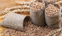 Меняем пшеницу на внедорожники: Россия нашла новый-старый способ игнорировать санкции