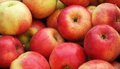 Названы полезные для здоровья зубов продукты