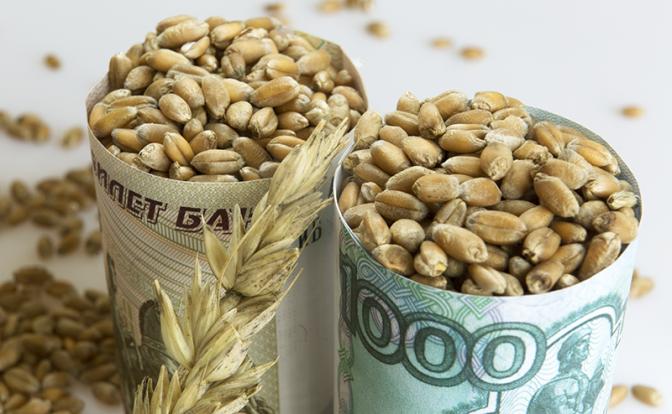 Эксперт: От российской пшеницы отказываются из-за крепкого рубля