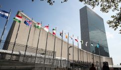 В Сочи климат для ООН куда полезнее