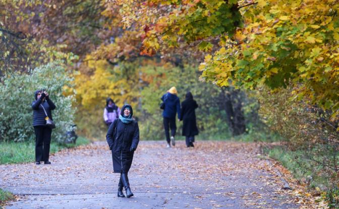 Назван способ успокоить нервы в разгар магнитной бури