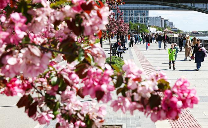 Самый культурный город: названы 8 финалистов, лидируют Новосибирск, Вологда и Челябинск