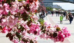 Самый культурный город: названы 8 финалистов, лидируют Новосибирск, Вологда и Челябинск