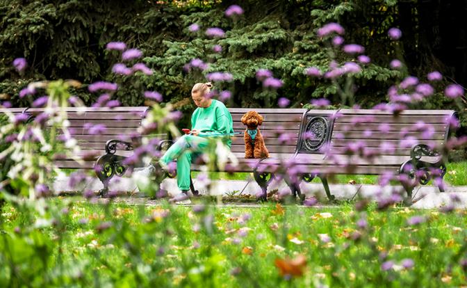 Метеоролог рассказал о погоде в октябре в Москве