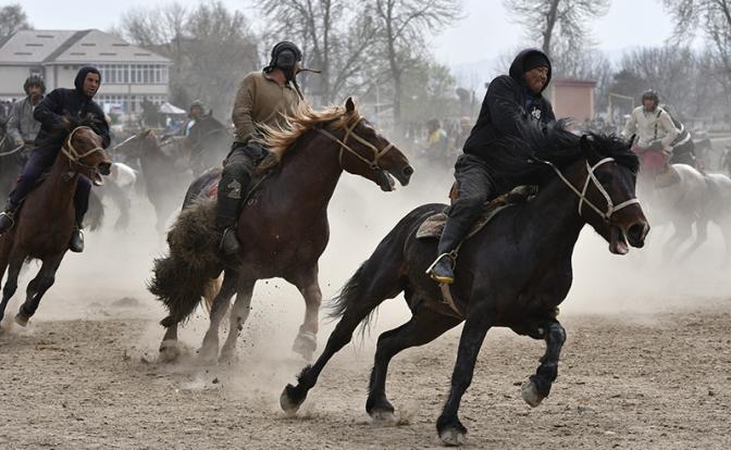 Мигранты "забили козла" в Подмосковье: Кок-бора, древняя игра кочевников, доскакала до Раменского района