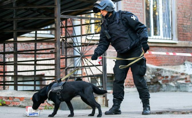 К школе в Тюмени экстренно стянулись саперы