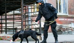 К школе в Тюмени экстренно стянулись саперы