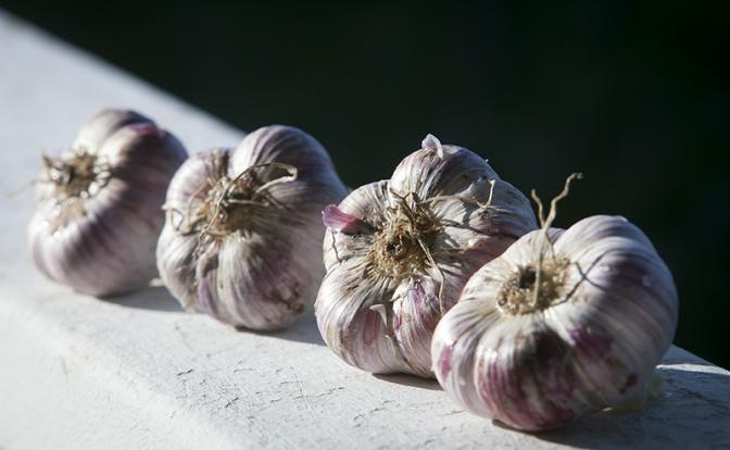 Врач развеял популярный миф о пользе чеснока для лечения и профилактики простуды