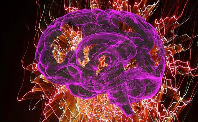 На фото: компьютерное изображение мозга человека.