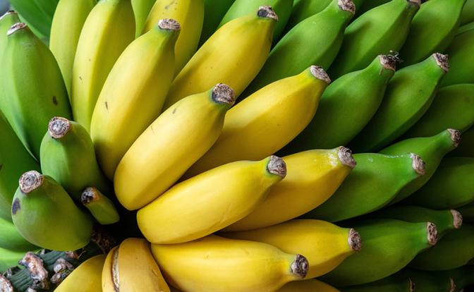 Экономист оценил планы выращивания бананов в России