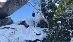 Поиски семьи Усольцевых: «Почему то, чего быть не должно, случается постоянно»