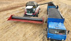 Запорожские фермеры пытаются достучаться до Кремля: «Владимир Владимирович, помогите, у нас все забирают…»