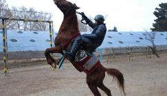 "А еще армию приезжих пополнят потенциальные кастраты из Казахстана"