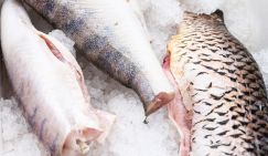 Какой рыбный четверг! Судак, сазан и лещ с корюшкой давно дороже курицы