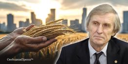 Василий Мельниченко: Проблему демографии могут решить только жители села