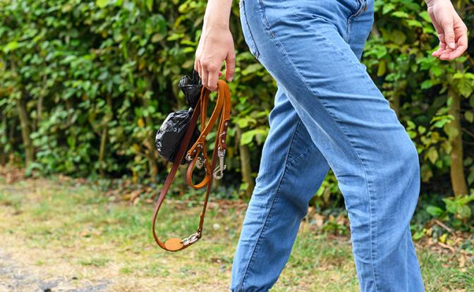 Ученые раскрыли, как набирающий популярность хоббидоггинг влияет на детей и взрослых