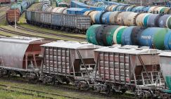 Николай Межевич: Для одной страны в Литве феноменально много идиотов