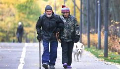 «Пенсионная реформа 2.0»: новые засады. Кто получит «базовый доход» и что это такое?