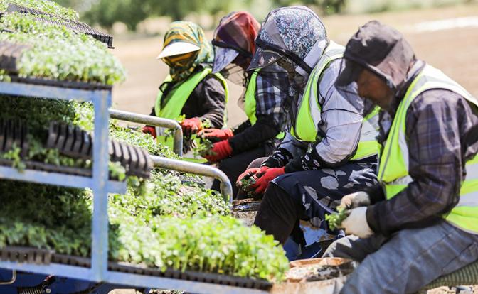 Эксперт: Мигранты сегодня буквально делят Россию по сферам влияния