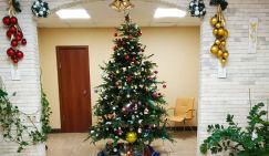 Александр Широкорад: Враги новогодних елок – не последователи ислама, а экстремисты от шайтана