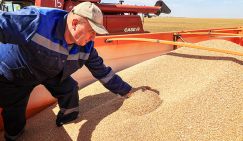 Урожай для экспорта или для народа? Почему амбары ломятся, а кошельки пустеют