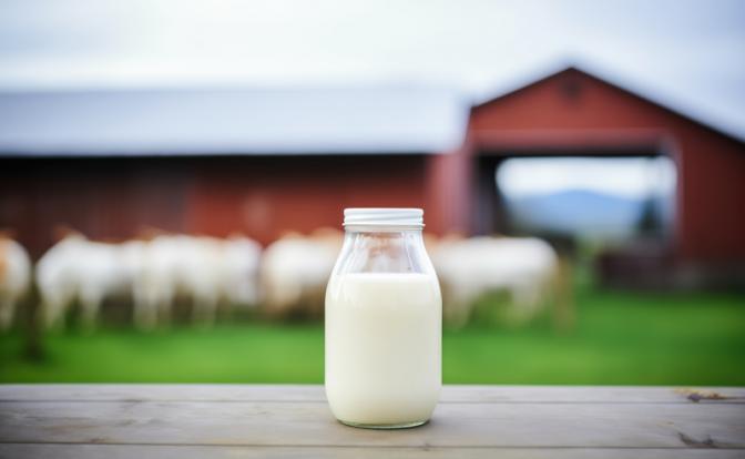 Эндокринолог рассказала, в каких случаях кефир может навредить