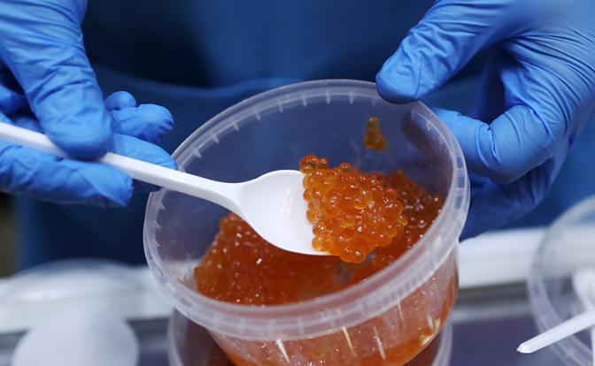 В России проверили икру: кишечную палочку нашли в каждой четвертой банке