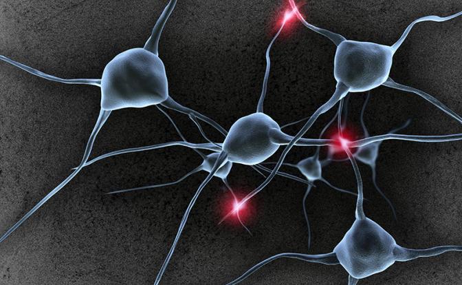 Тормоза для больного мозга: ученые научились создавать нейроны, сдерживающие шизофрению