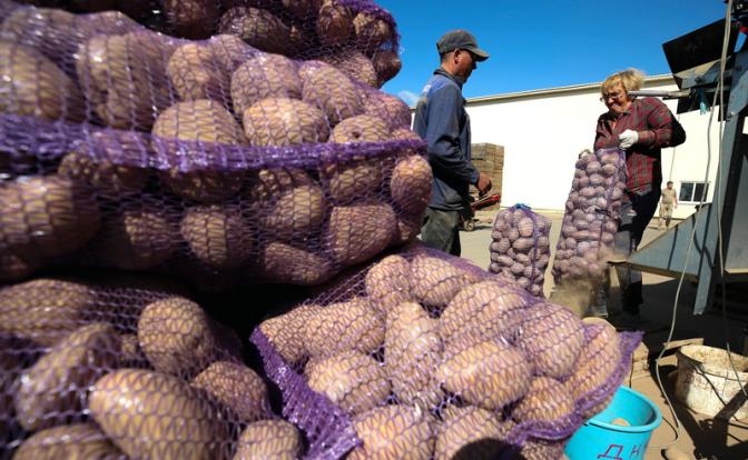 Мигранты в Белоруссии: Шаг влево, шаг вправо – домой. Оказывается, можно и так