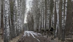 Тайная тропа ухилянта: Кто-то прикупил пару метров украинско-белорусской границы