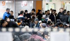 Пчелы против меда: Борьбу с незаконными анклавами в России решено доверить "клану бояр"