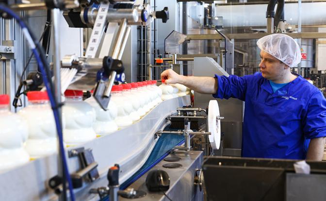 Минсельхоз отчитался о рекордных надоях. Куда утекают молочные реки