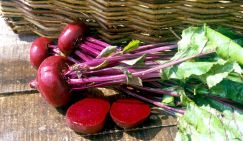 Выяснилось, кому нельзя есть свеклу