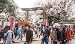 Япония стала ближе: Активность россиян убедила Токио открыть в РФ визовые центры